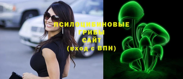 ПСИЛОЦИБИНОВЫЕ ГРИБЫ Алексин