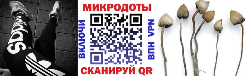 blacksprut   Беслан  Галлюциногенные грибы Psilocybe 